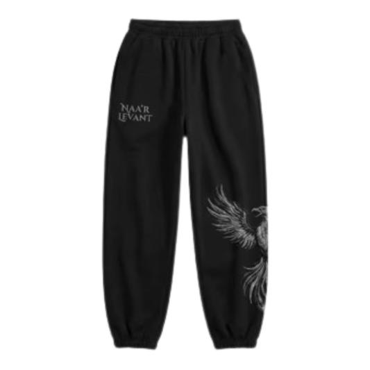 SHADOW FIRE joggers